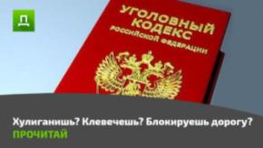 Суперскоростные поправки в УК РФ за хулиганство, клевету и блокировку дорог