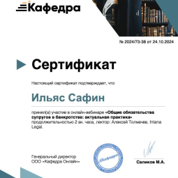 Сафин Ильяс Вадимович