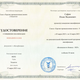 Сафин Ильяс Вадимович