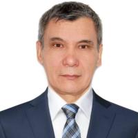 Ахмадиев Вагиз Амерханович